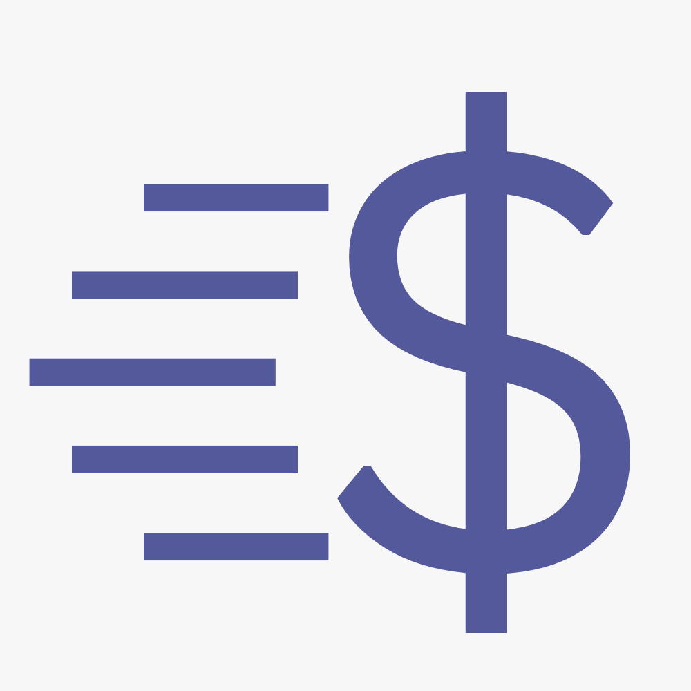 Secure payroll payments icon