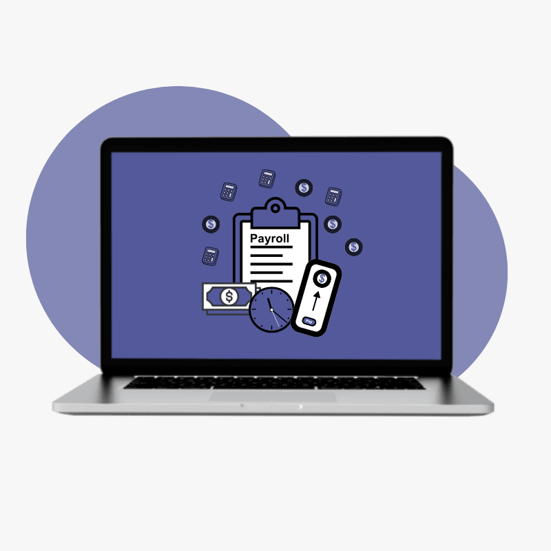 automated payroll software platform for businesses